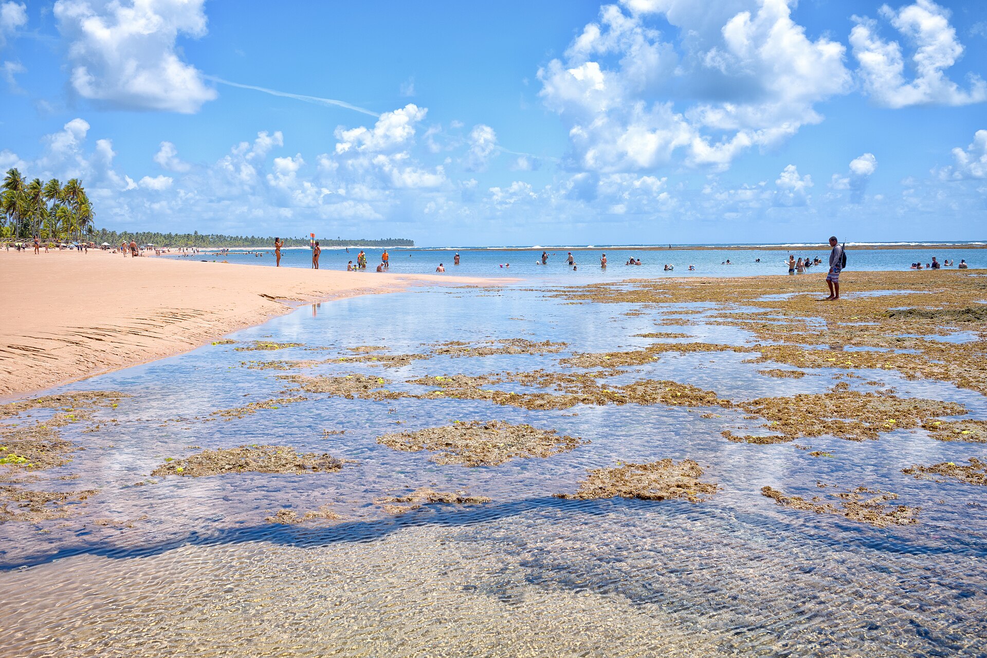 Imagem de referência de Praia de Taipus de Fora, descrito nos dados abertos como trecho do litoral de Maraú, município do estado brasileiro da Bahia