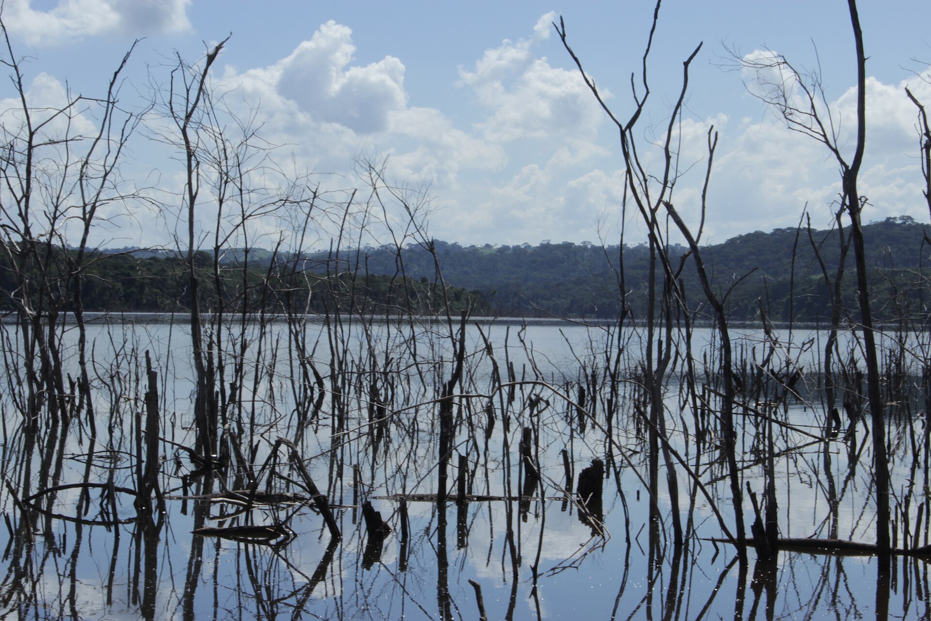 Imagem de referência de Parque Estadual Altamiro de Moura Pacheco, descrito nos dados abertos como parque Estadual Altamiro de Moura Pacheco de nível Estadual, localizado (a) em Goianápolis (GO), Goiânia (GO), Nerópolis (GO), Terezópolis de Goiás (GO)