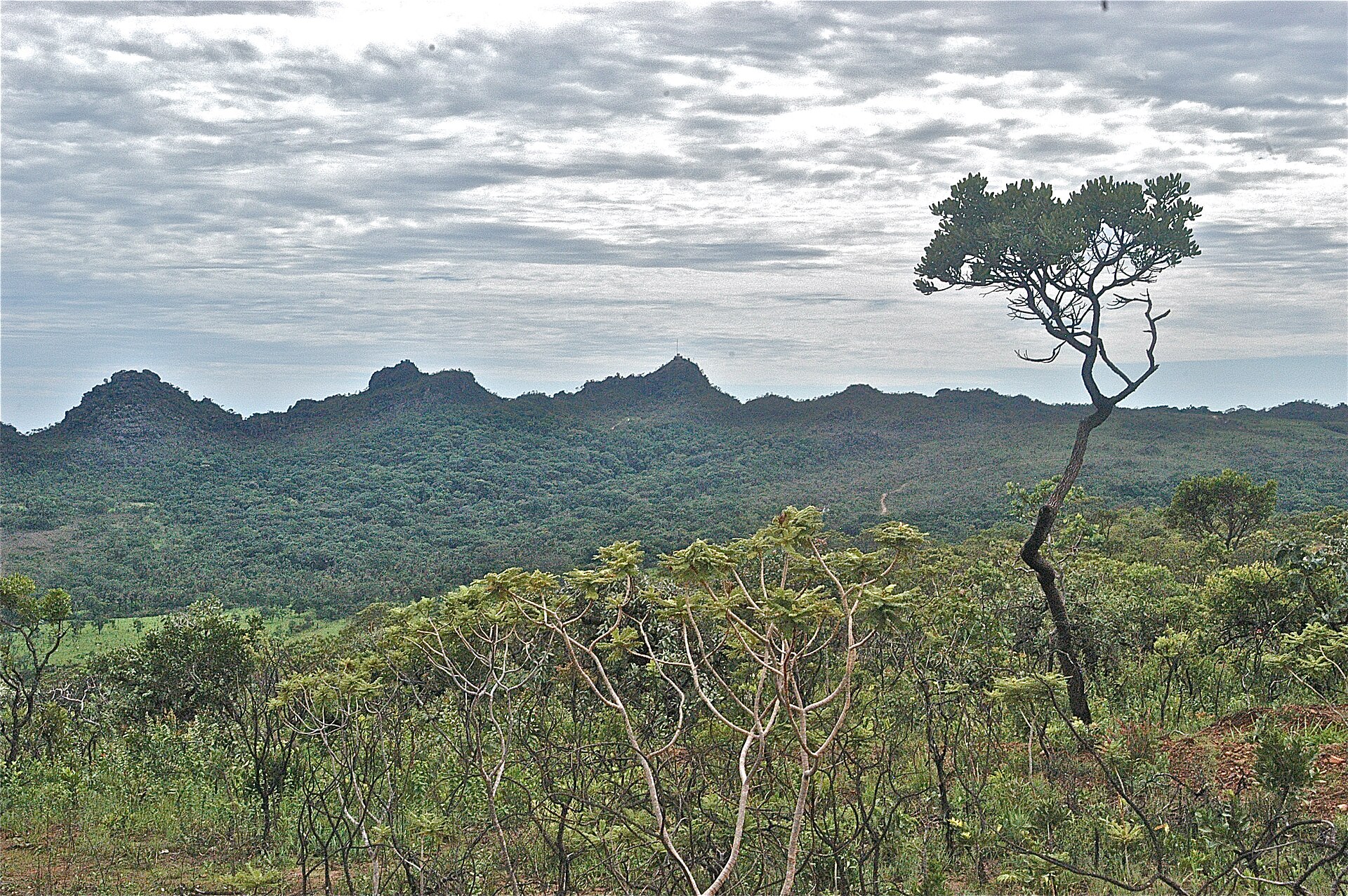 Imagem de referência de Parque Estadual dos Pirineus, descrito nos dados abertos como parque Estadual dos Pirineus de nível Estadual, localizado (a) em Cocalzinho de Goiás (GO), Corumbá de Goiás (GO), Pirenópolis (GO)