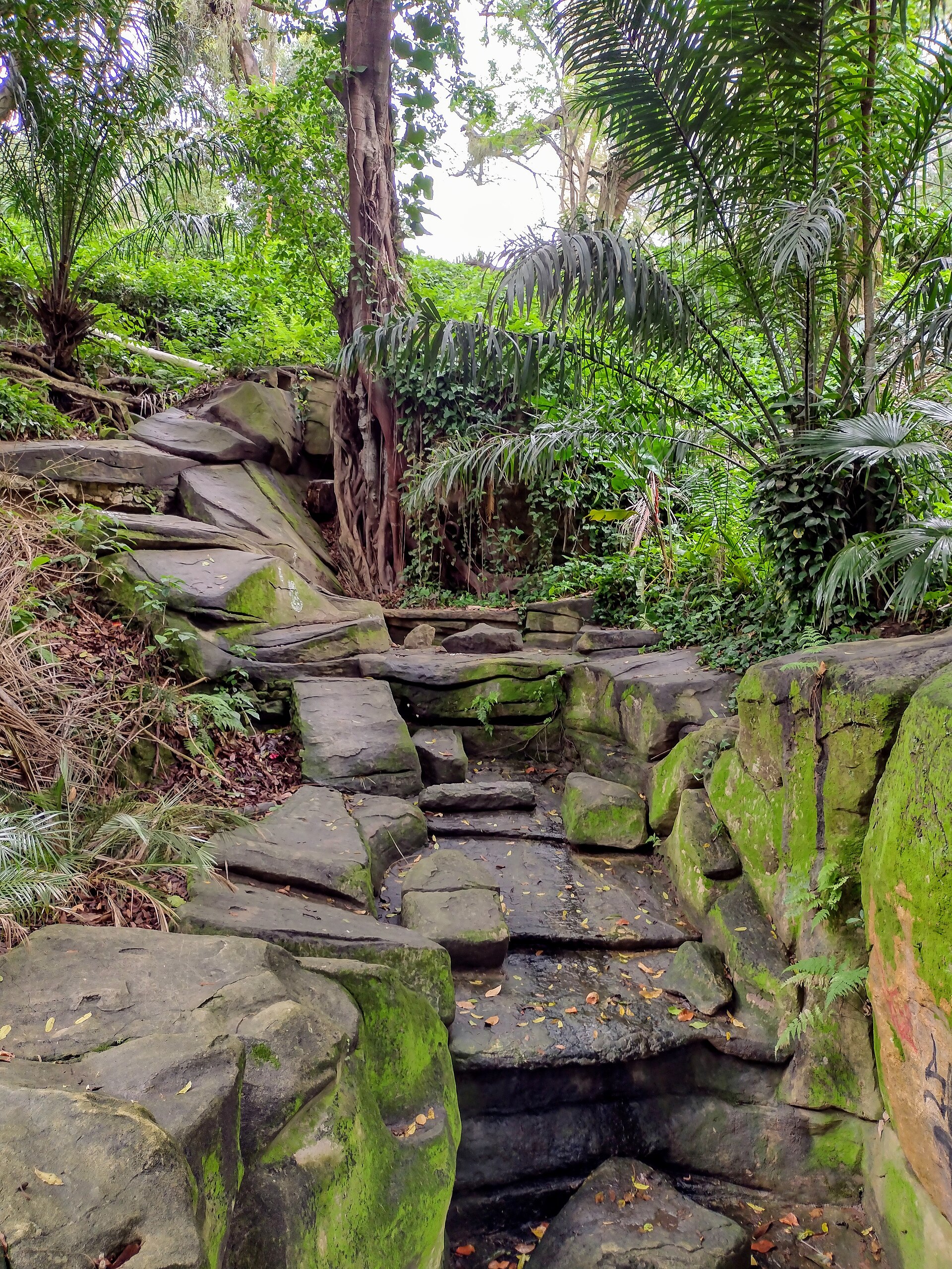 Imagem de referência relacionada a Cascata do Parque Guinle, item descrito como monumento na cidade do Rio de Janeiro