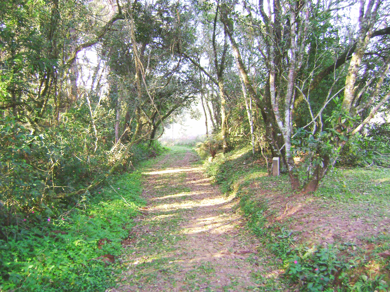 Imagem de referência de Parque Ecológico Samuel Klabin, descrito nos dados abertos como parque particular em Telêmaco Borba, Brasil