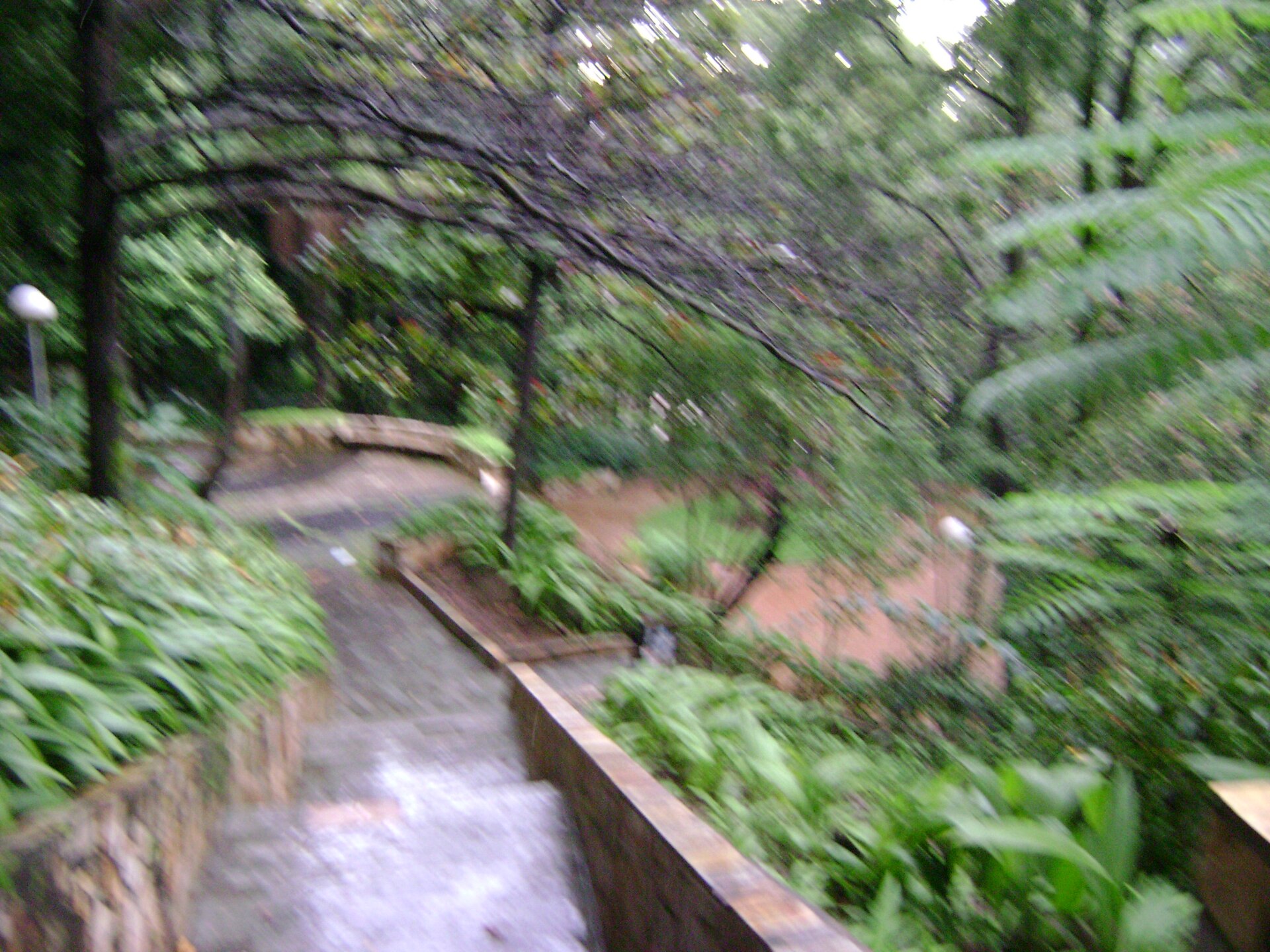 Imagem de referência de Parque Julien Rien, descrito nos dados abertos como parque municipal em Belo Horizonte, Minas Gerais, Brasil