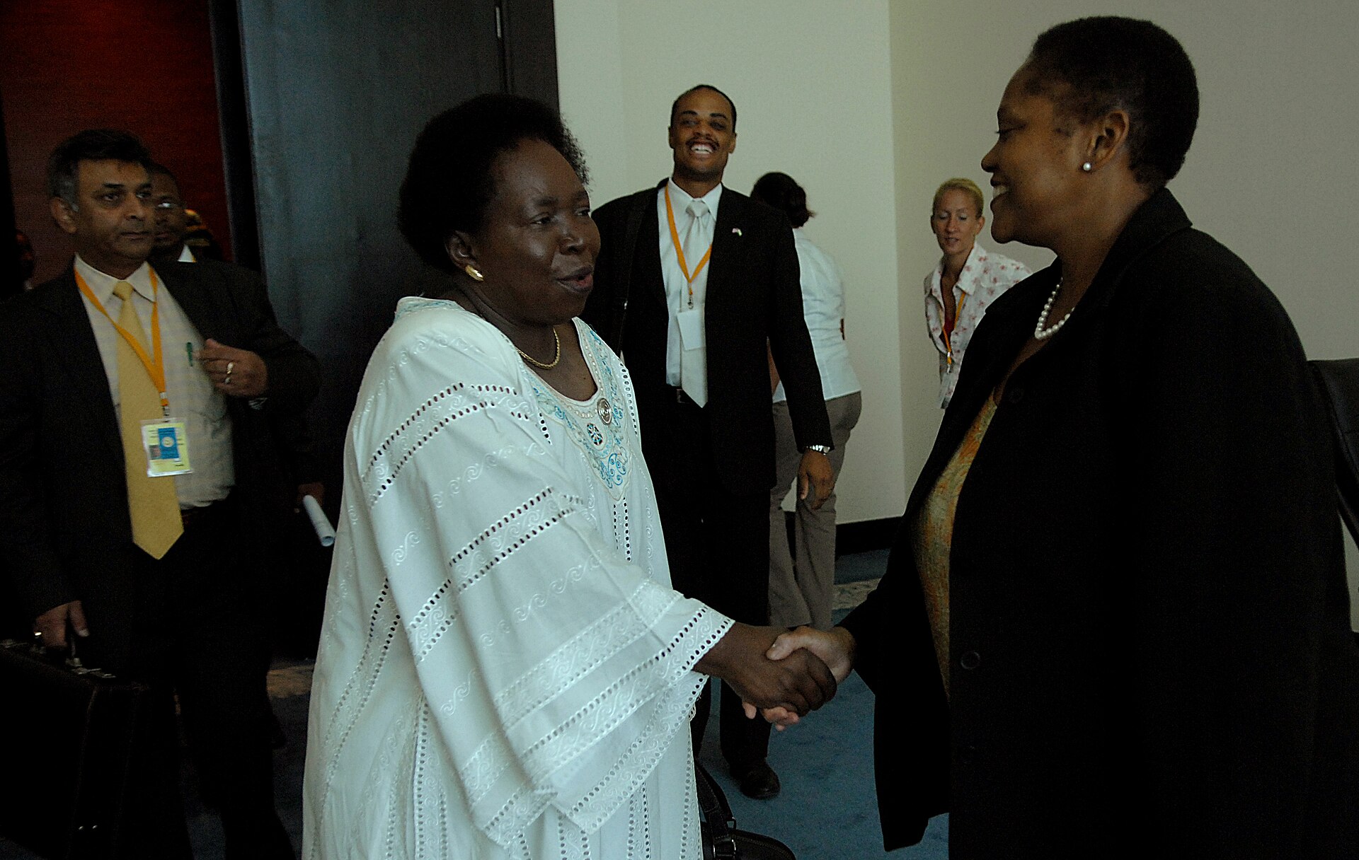 Imagem de referência relacionada a Nkosazana Dlamini-Zuma, item descrito como política sul-africana