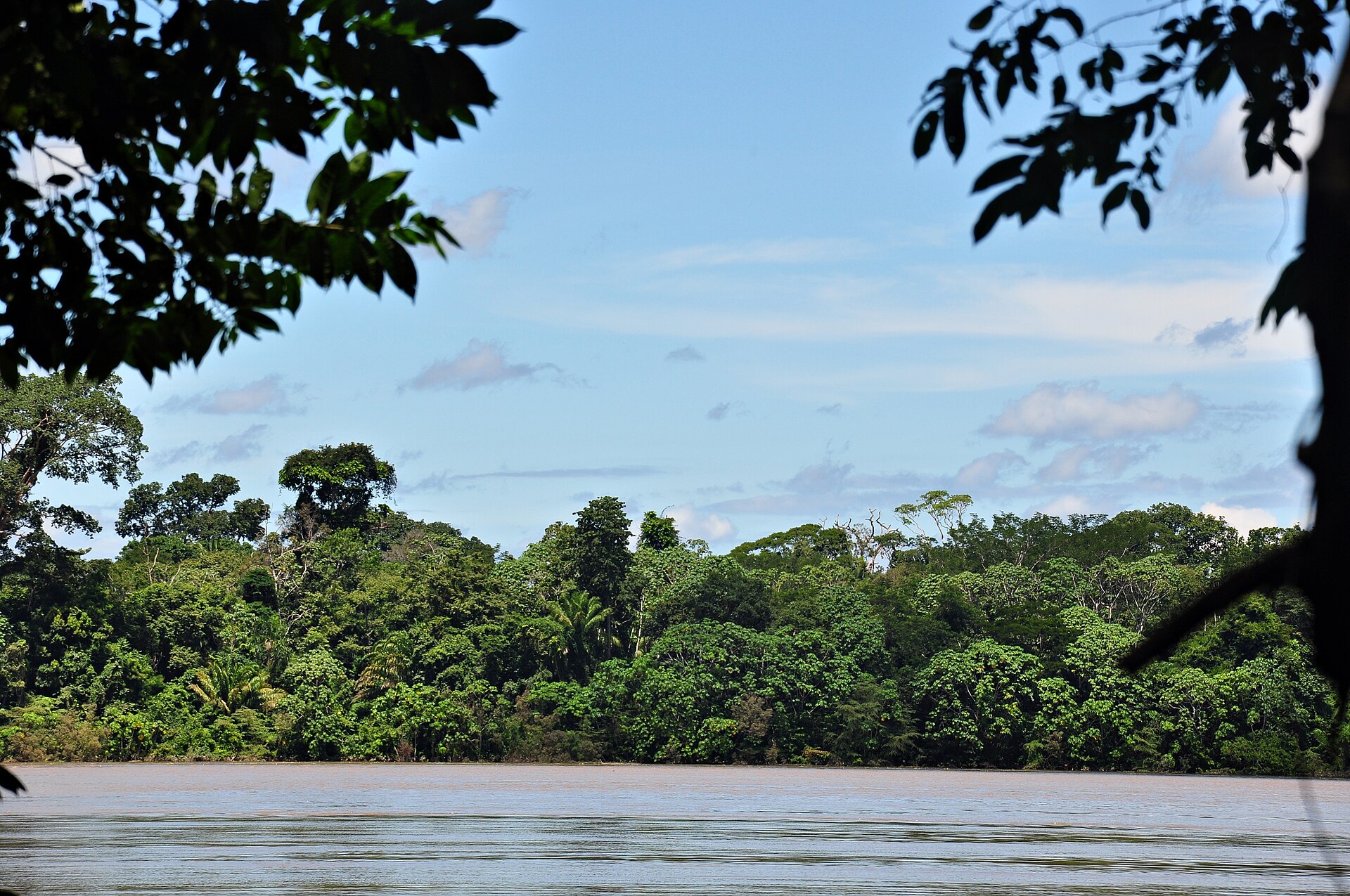 Imagem de referência de Parque Nacional Mapinguari, descrito nos dados abertos como parque Nacional Mapinguari de nível Federal, localizado (a) em Canutama (AM), Lábrea (AM), Porto Velho (RO)
