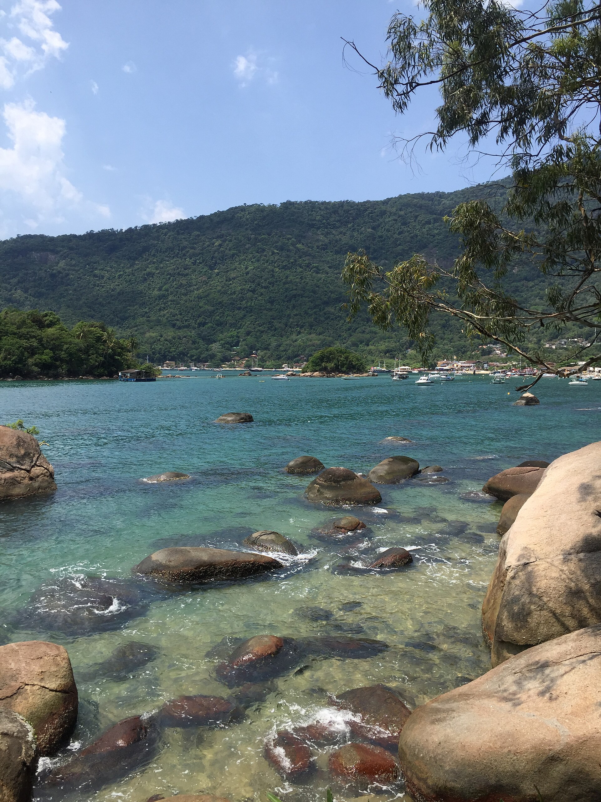 Imagem de referência de Reserva Biológica Estadual da Praia do Sul, descrito nos dados abertos como reserva Biológica Estadual da Praia do Sul de nível Estadual, localizado (a) em Angra dos Reis (RJ)