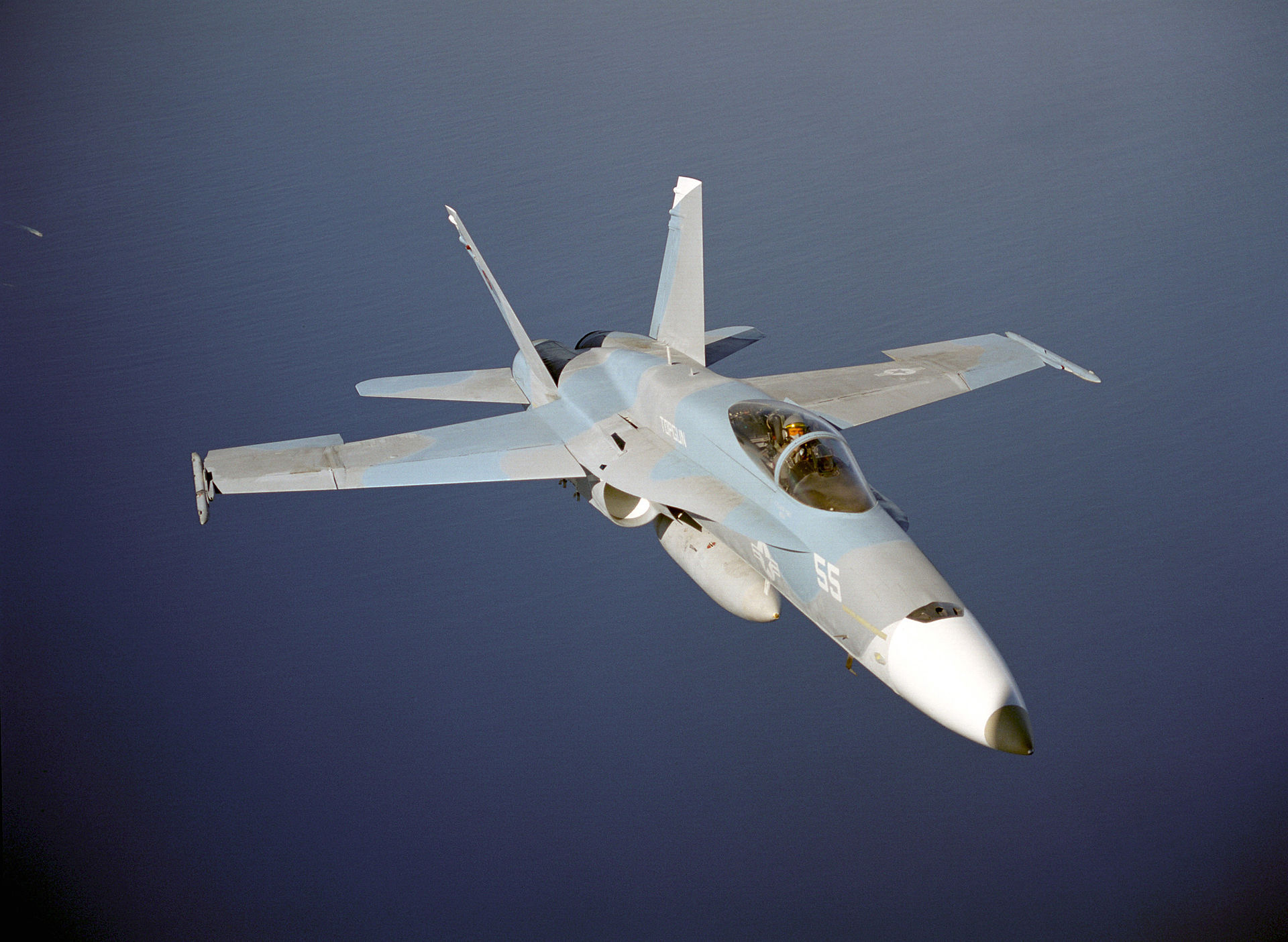 Imagem de referência de McDonnell Douglas F/A-18 Hornet, descrito nos dados abertos como jato multifunção bimotor