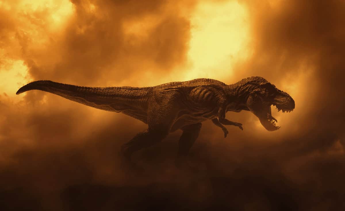 Imagem da matéria: Professor encontra quatro pegadas gigantes e pode ter descoberto uma trilha inédita de T-rex adulto