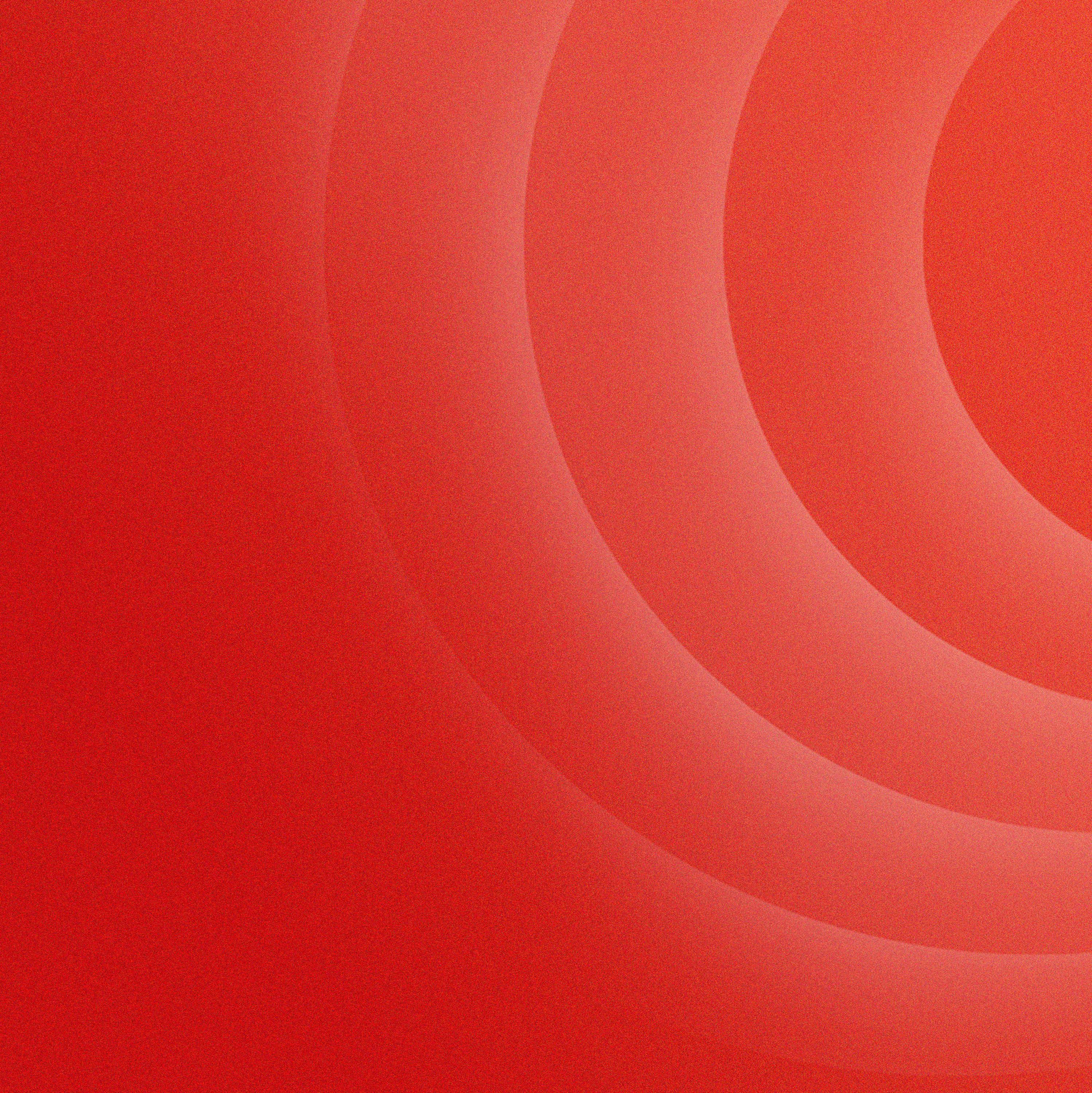Mais de 800.000 abelhas foram roubadas em todo o norte remoto da Queensland em uma operação 'sophisticated' (sofisticada).