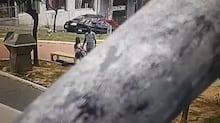 Caminhão tomba ao subir ladeira e motorista fica preso no alto do veículo em Pará de Minas (MG)