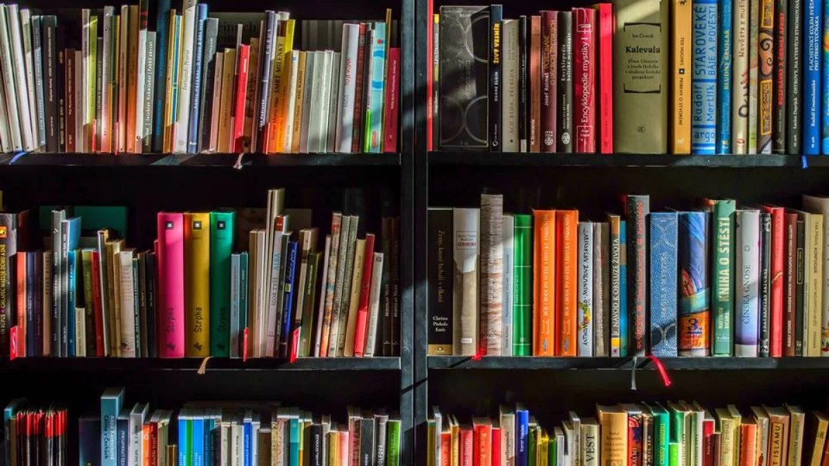 Prêmio Nobel de Literatura: relembre últimos laureados e suas obras