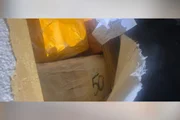 Puff com R$ 1,8 milhão: delegada é conhecida por ataques públicos a Deolane
