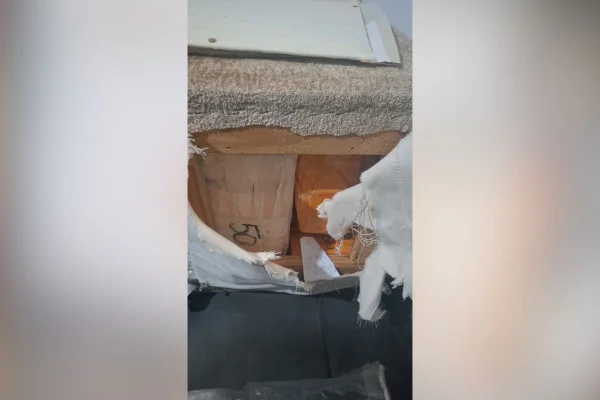 Puff com R$ 1,8 milhão: delegada é conhecida por ataques públicos a Deolane